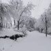 J&K braces up for much awaited rains, snow as mercury drops; minus 5.3°C in Srinagar