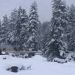 Night Temp Records Drop But Stays Above Normal In J&K
