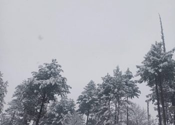Major snowfall drapes Srinagar, other parts of Kashmir valley