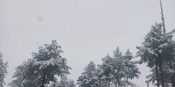 Major snowfall drapes Srinagar, other parts of Kashmir valley