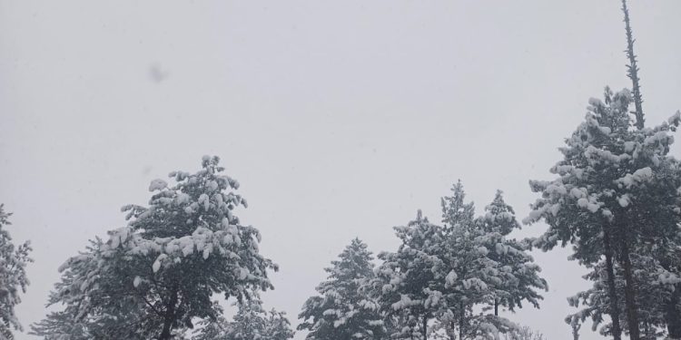 Major snowfall drapes Srinagar, other parts of Kashmir valley