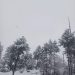 Major snowfall drapes Srinagar, other parts of Kashmir valley