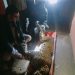 Leopard Carcass Found in Ichgam Budgam
