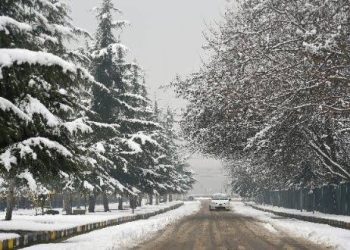 Bitter cold returns after snowfall, south Kashmir; Gulmarg under deep freeze