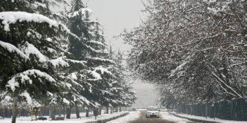 Bitter cold returns after snowfall, south Kashmir; Gulmarg under deep freeze