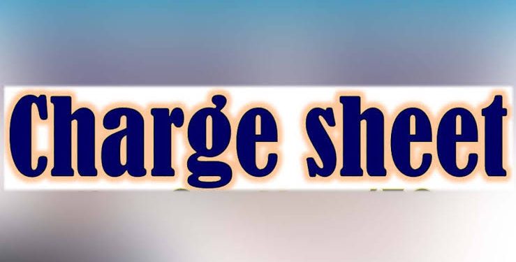 SIU Files Chargesheet Against Accused Persons in Shopian Attack Case: Police