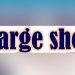 SIU Files Chargesheet Against Accused Persons in Shopian Attack Case: Police