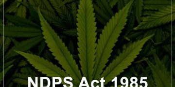 Property of Notorious Drug Peddler Attached in Kulgam: Police