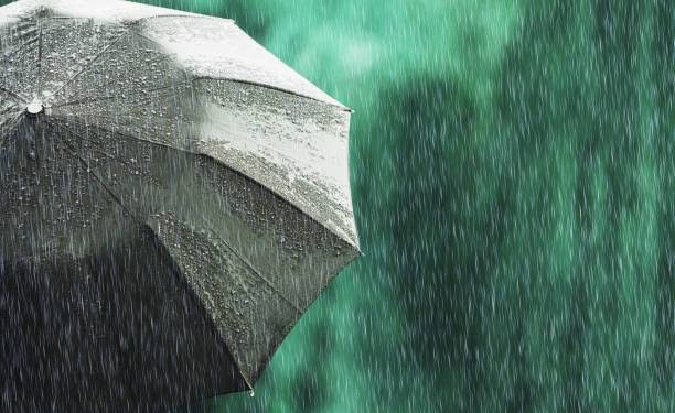 MeT Forecasts ‘Extended Wet spell’ from Feb 19-21 in J&K, Issues advisory