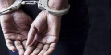 Man Booked, Electricity Services Snapped for Alleged Assault of On Duty PDD Lineman in Srinagar Locality