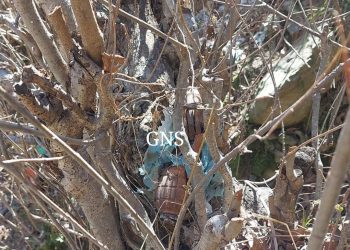 Rusted grenades, bullets found in Rajouri