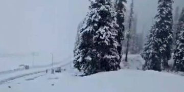 Incessant rains drench plains in J&K, 1.3-ft fresh snowfall in Gulmarg