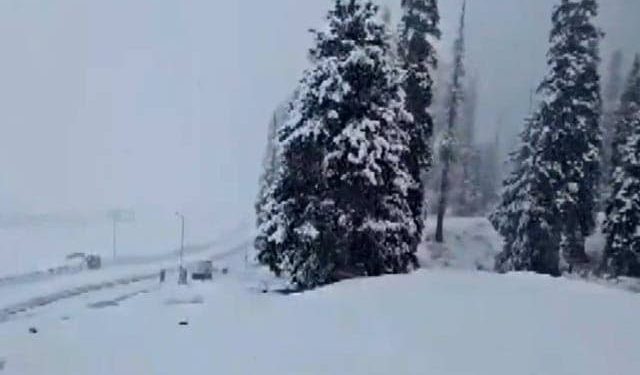 Incessant rains drench plains in J&K, 1.3-ft fresh snowfall in Gulmarg