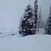 Incessant rains drench plains in J&K, 1.3-ft fresh snowfall in Gulmarg