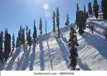 Sun shines over J&K after incessant rains, snowfall; night temp drops as Gulmarg records minus 10.6°C