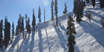 Sun shines over J&K after incessant rains, snowfall; night temp drops as Gulmarg records minus 10.6°C