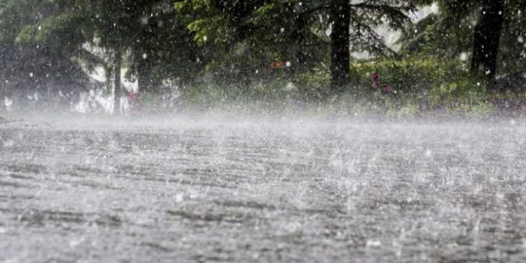 Night Temp Rises Amid Forecast For Snow, Rains In Kashmir