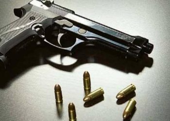 Bandipora: Admin asks all gun licence holders to deposit weapon(s) in police stations in 7 days
