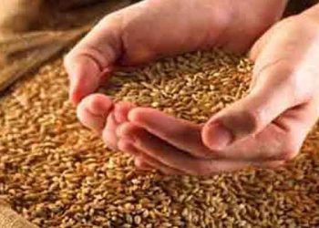 Rs 70 Per Person Fixed As Sadq-e-Fitr This Ramadan: Grand Mufti, J&K, Mufti Nasir-ul-Islam Farooqi