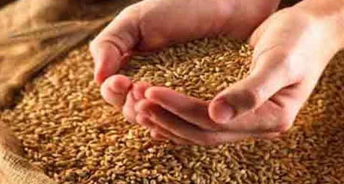 Rs 70 Per Person Fixed As Sadq-e-Fitr This Ramadan: Grand Mufti, J&K, Mufti Nasir-ul-Islam Farooqi