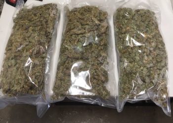 Duo Apprehended With 90 Kgs of Poppy Straw in Pahalgam Anantnag
