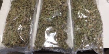 Duo Apprehended With 90 Kgs of Poppy Straw in Pahalgam Anantnag