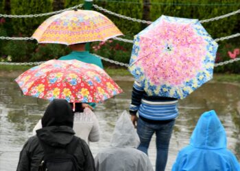 Rains lash parts of J&K, MeT predicts more till tomorrow, from Sept 15-16