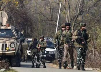 2 Militants Killed In Udhampur, Search Operation On