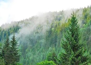 Missing TA Soldier’s Body Recovered From Anantnag Forests