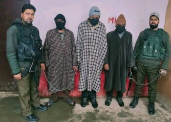 Police Busts Sheep Theft Gang, 51 Stolen Sheep Recovered, Two Arrested In Shopian