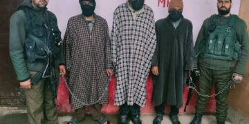 Police Busts Sheep Theft Gang, 51 Stolen Sheep Recovered, Two Arrested In Shopian