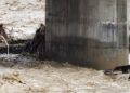 Light To Moderate Rain Lashes Jhelum Basin; IMD Predicts Fresh Heavy Spell Tonight