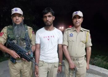 Anantnag Police Apprehends Non-Local Drug Peddler With Brown Sugar In Bijbehara Naka Checking