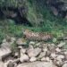 Ailing Leopard Found On Jammu-Poonch Highway In Mendhar Poonch, Rescued By Wildlife Team