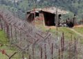 Woman Illegally Crosses Over To PoK Side With Livestock in Poonch, Probe On